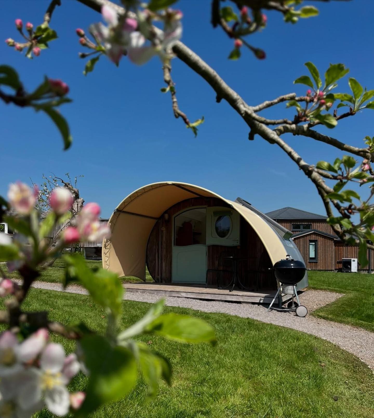 Middlewick Holiday Cottages Γκλάστονμπερι Εξωτερικό φωτογραφία